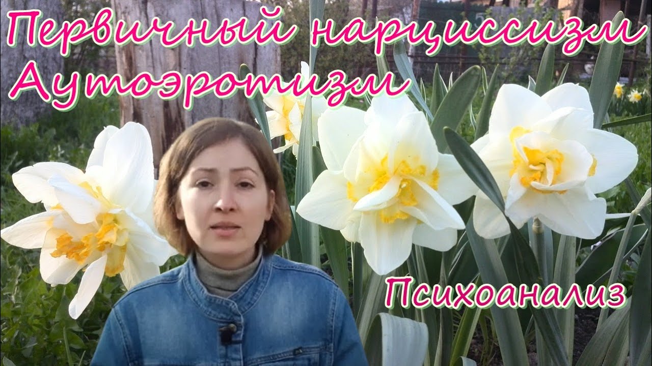 Психологическое видео: Первичный нарциссизм. Психоанализ личности - psy ...